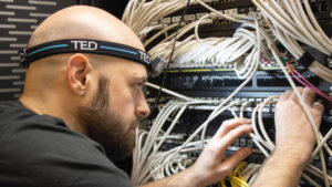 Management cable