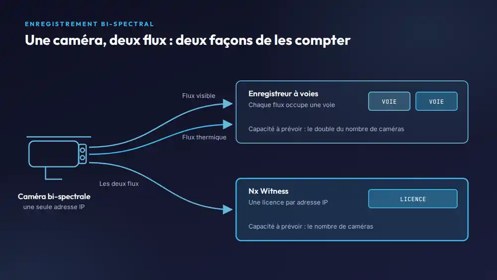 Schéma d'une caméra bi-spectrale dont les deux flux occupent deux voies d'enregistreur ou une seule licence Nx Witness